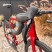 Trek Madone SL 6 Gen 8, 2025